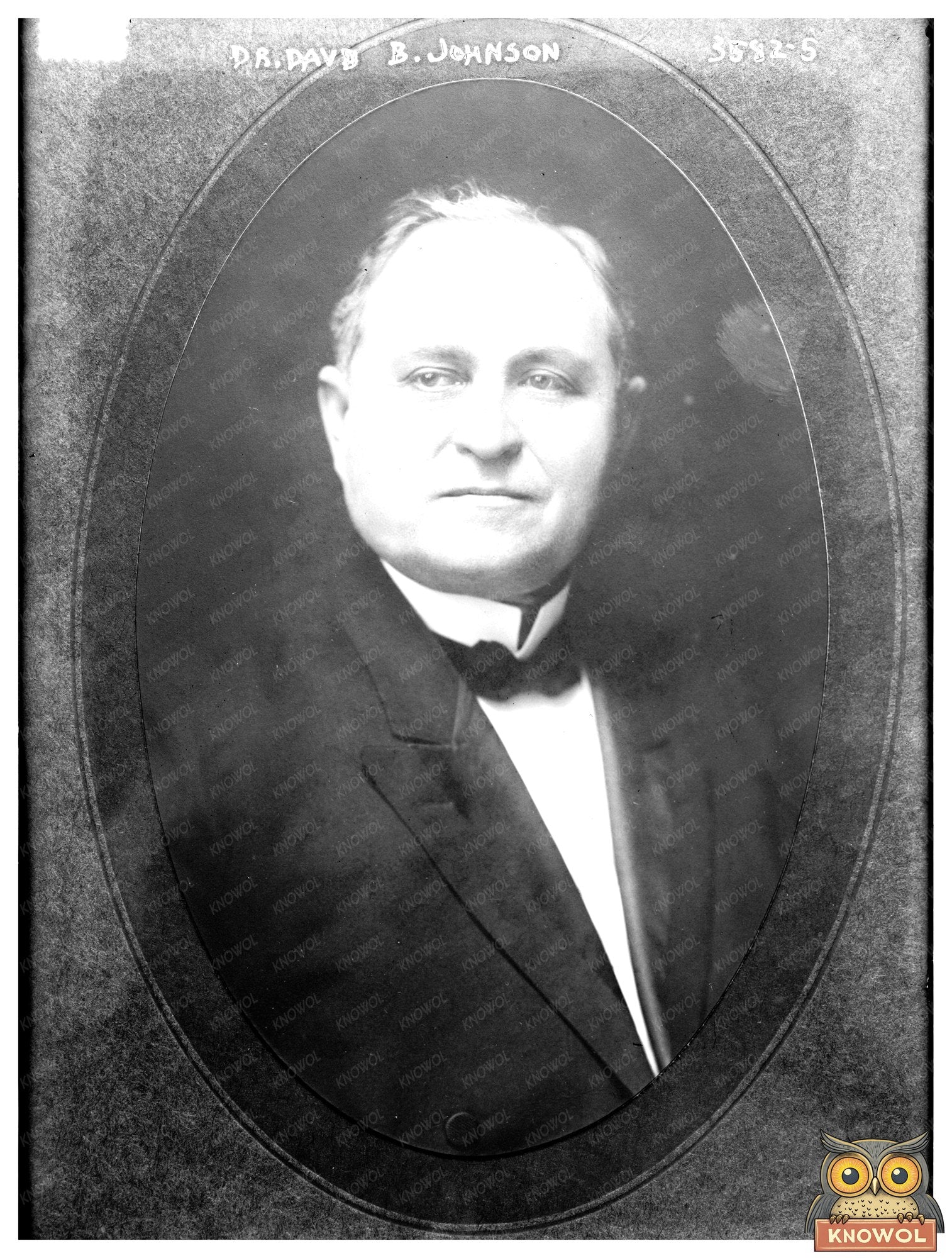 Historic Dr. David B. Johnson Print, Vintage Art