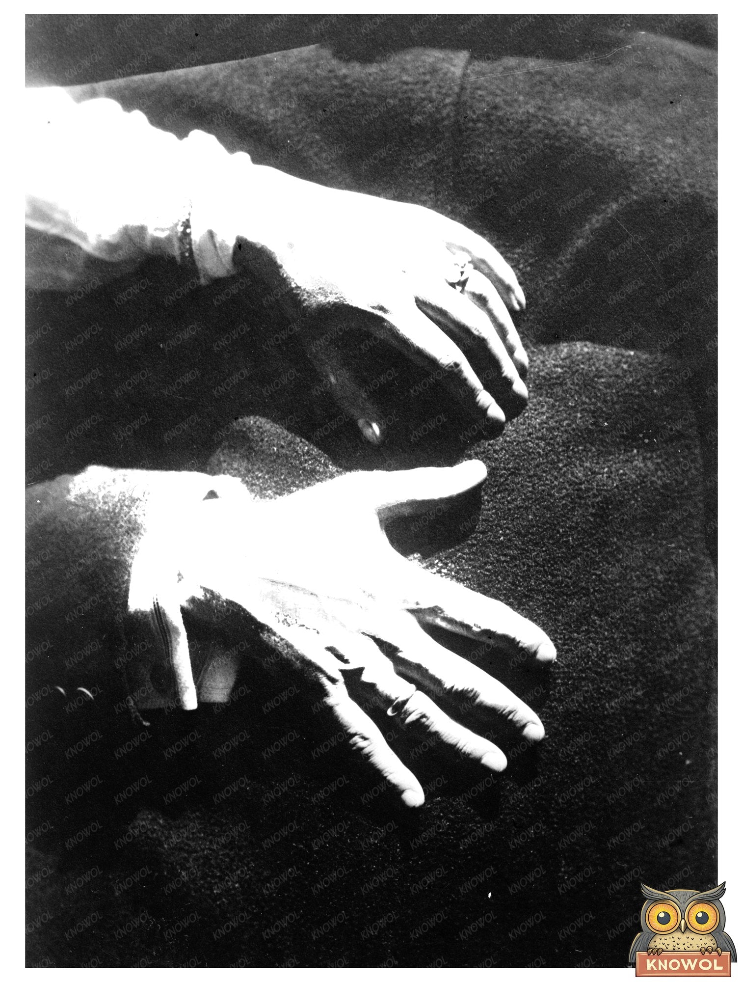 Historic Kreisler's hands Print, Vintage Art