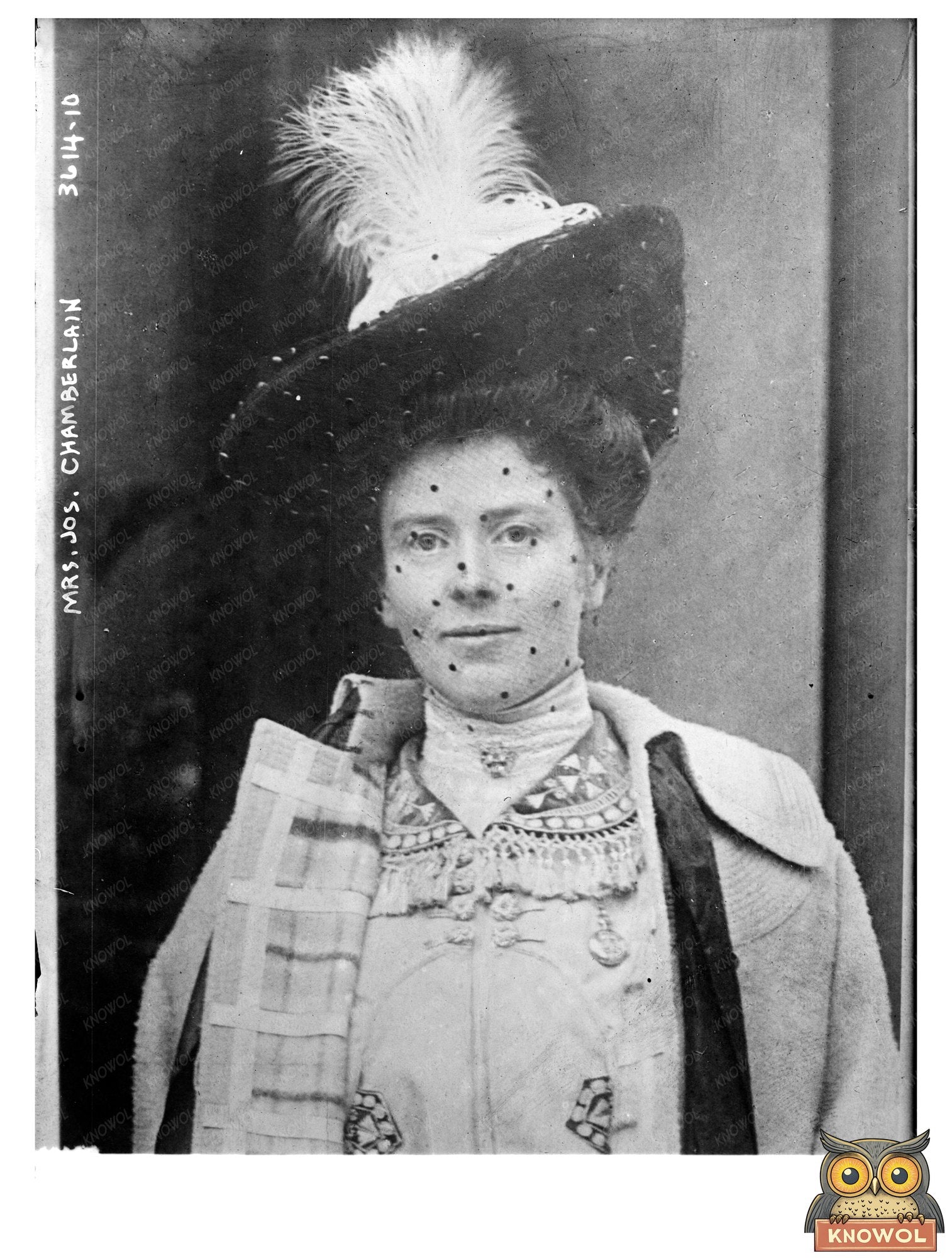 Historic Mrs. Jos. Chamberlain Print, Vintage Art