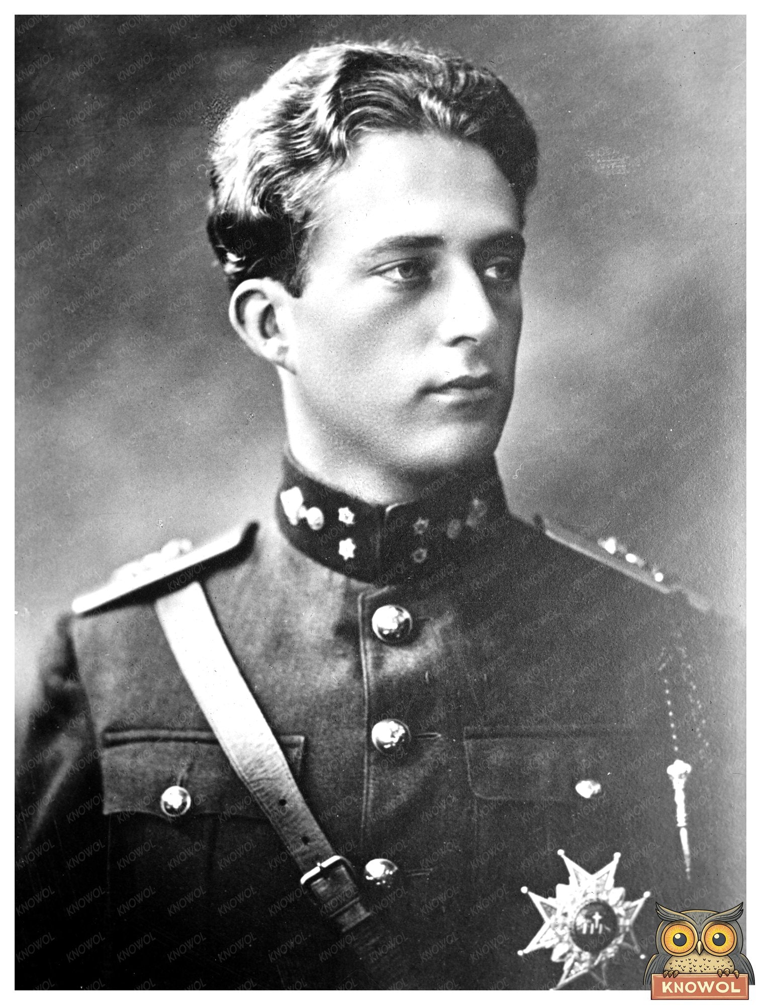 Historic Cr. Prince of Belg. Print, Vintage Art