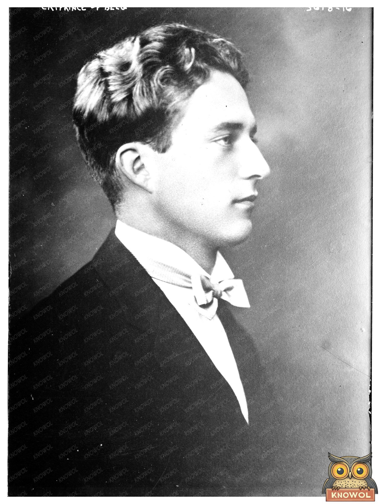Historic Cr. [i.e., Crown] Prince of Belg. [i.e., Belgium] Print, Vintage Art