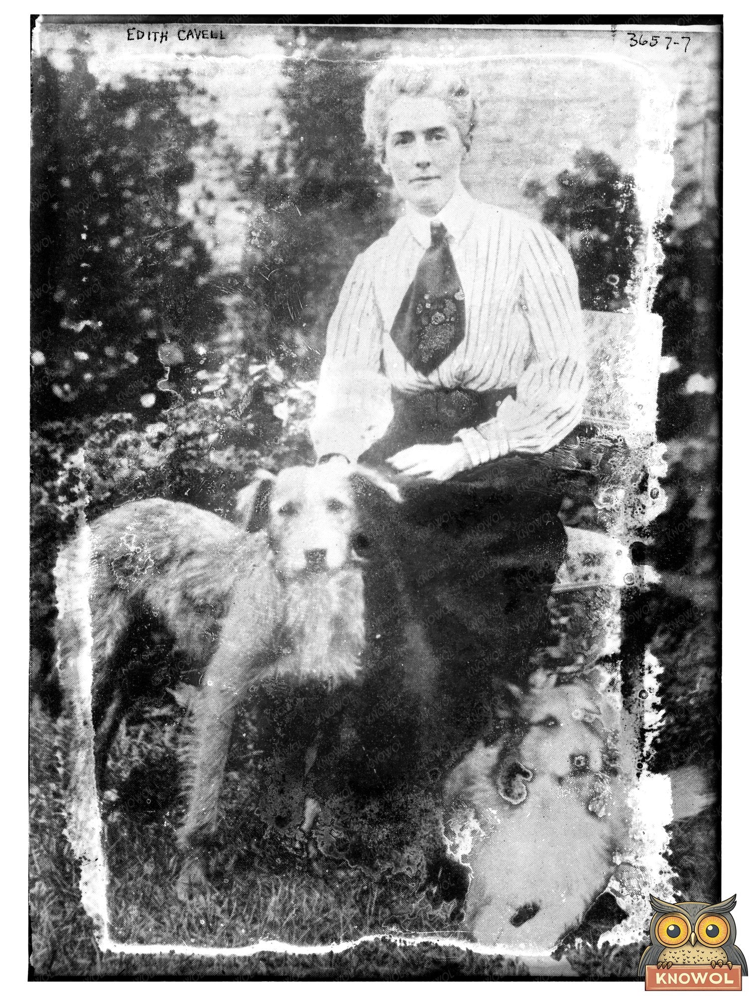 Historic Edith Cavell Print, Vintage Art