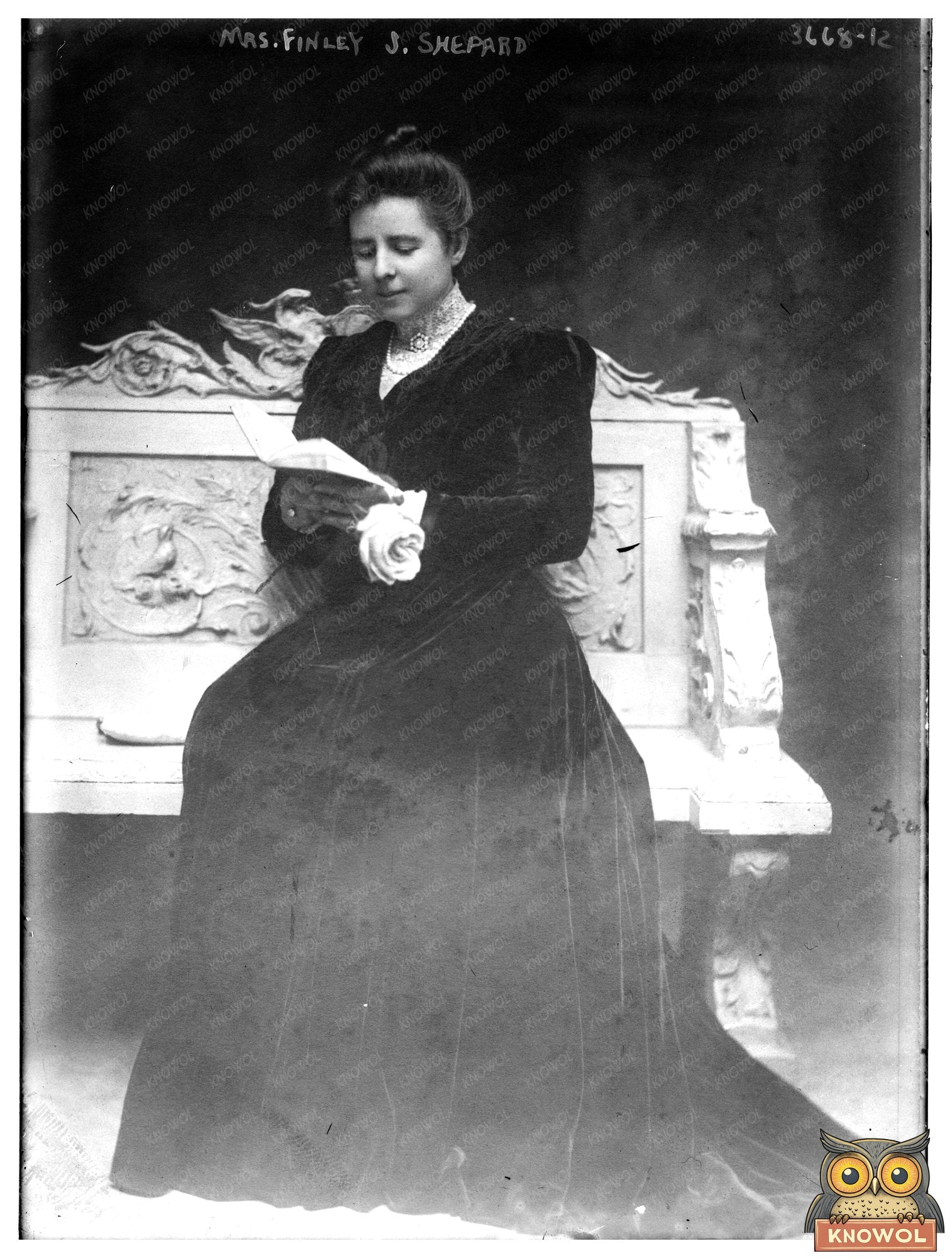 Historic Mrs. Finley J. Shepard Print, Vintage Art
