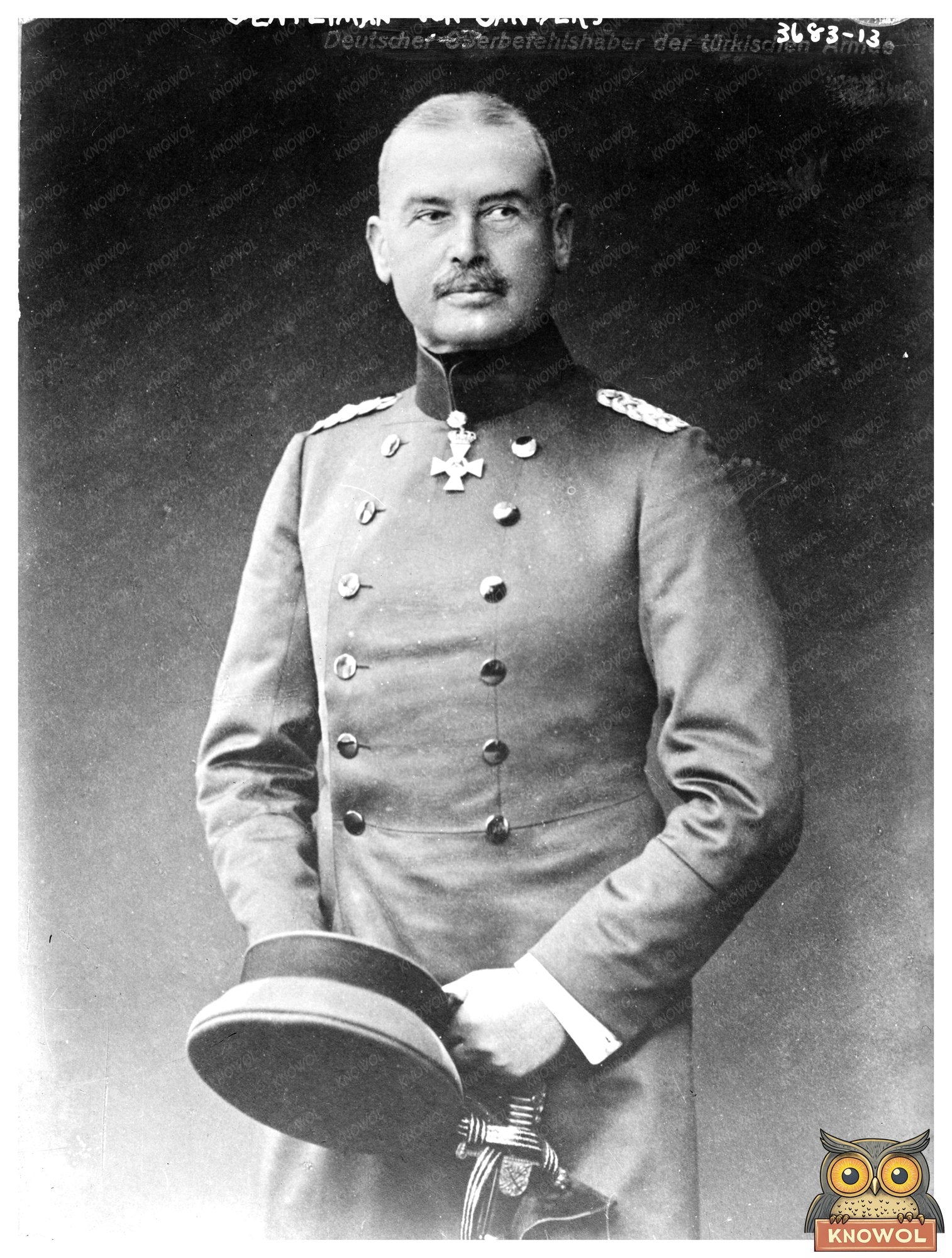Historic Gen. Liman von Sanders Print, Vintage Art