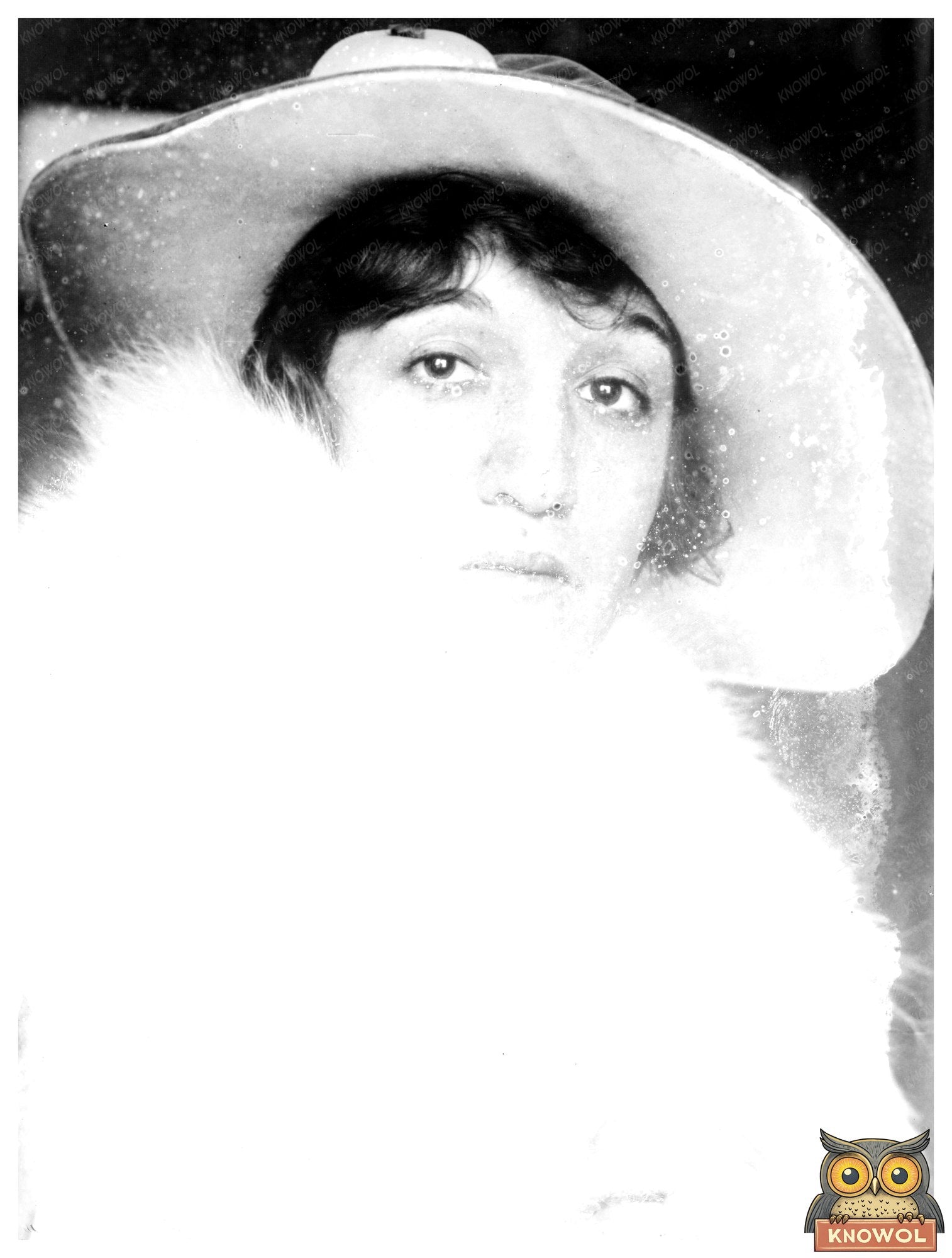 Historic Mrs. Raymond Belmont, 12/2/15 Print, Vintage Art