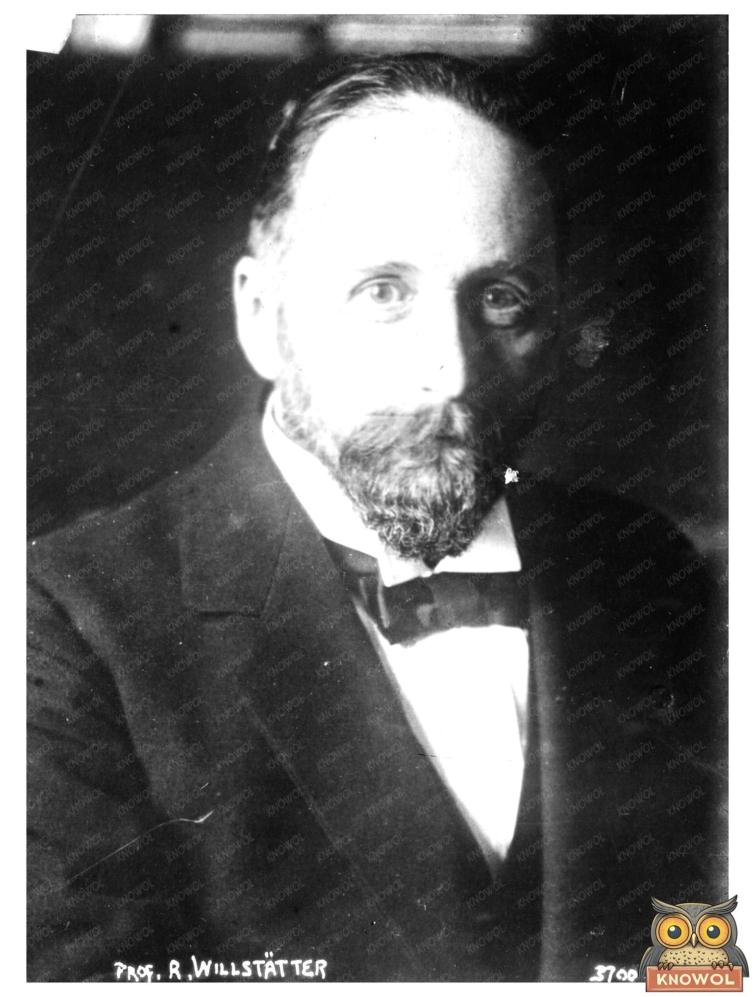 Historic Prof. R. Willstätter Print, Vintage Art