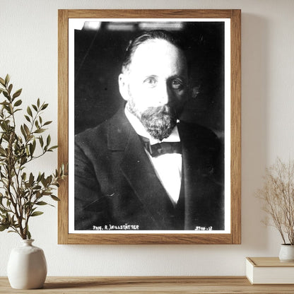 Historic Prof. R. Willstätter Print, Vintage Art