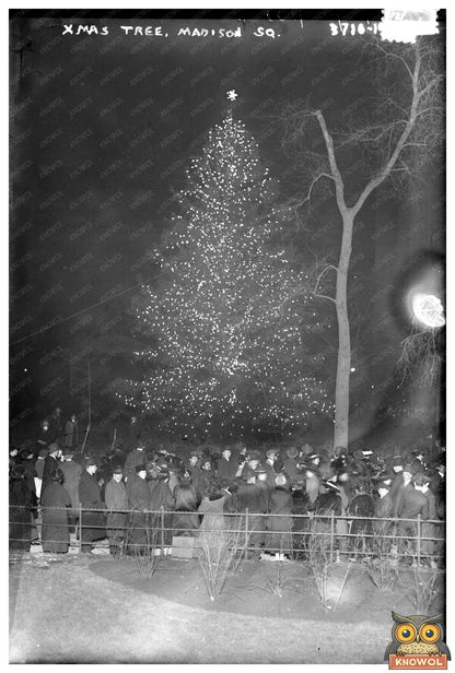 Festive Christmas Tree Illuminates Madison Square 2015