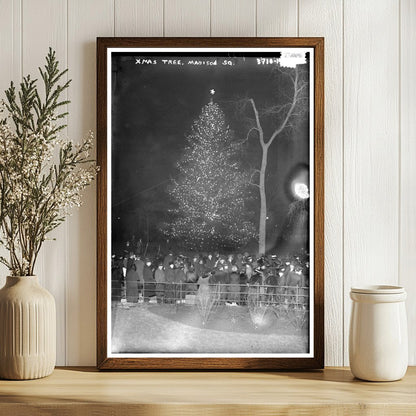 Festive Christmas Tree Illuminates Madison Square 2015