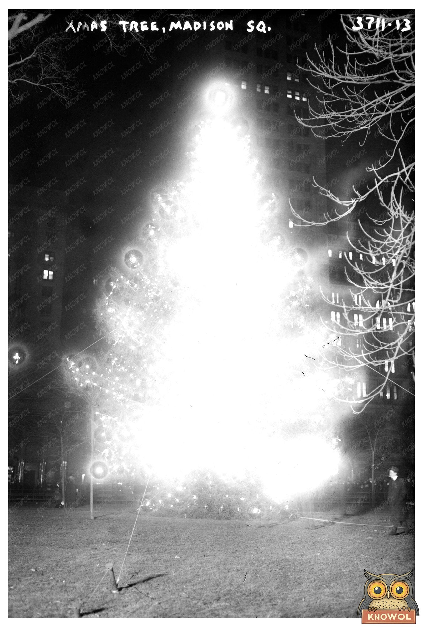 Festive Holiday Spirit: 1910s Madison Square Tree