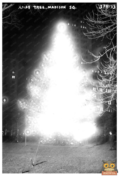 Festive Holiday Spirit: 1910s Madison Square Tree