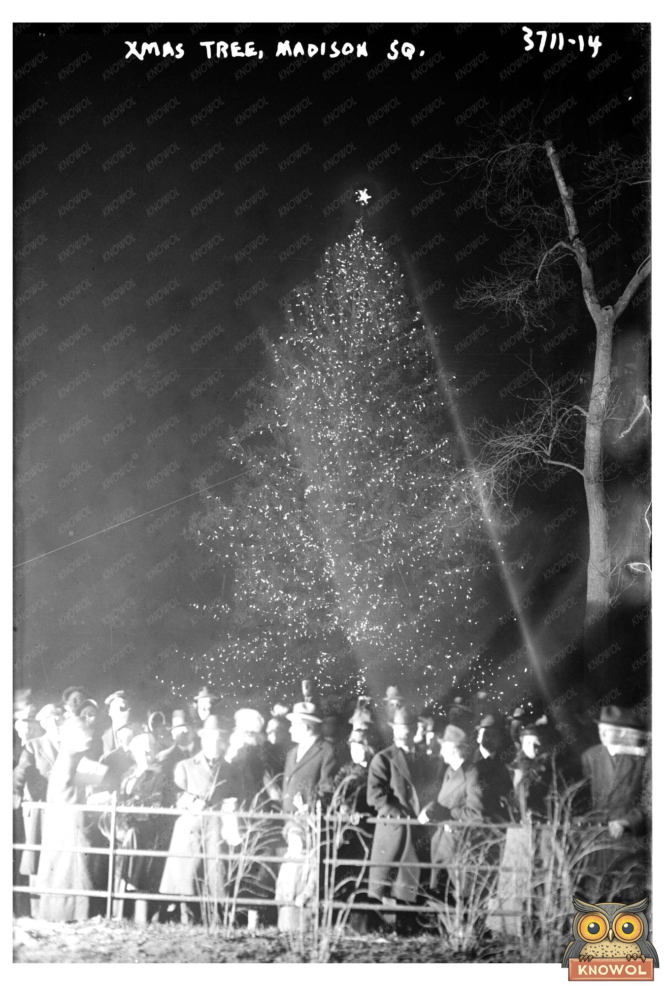 1915 Madison Square Christmas Tree in NYC