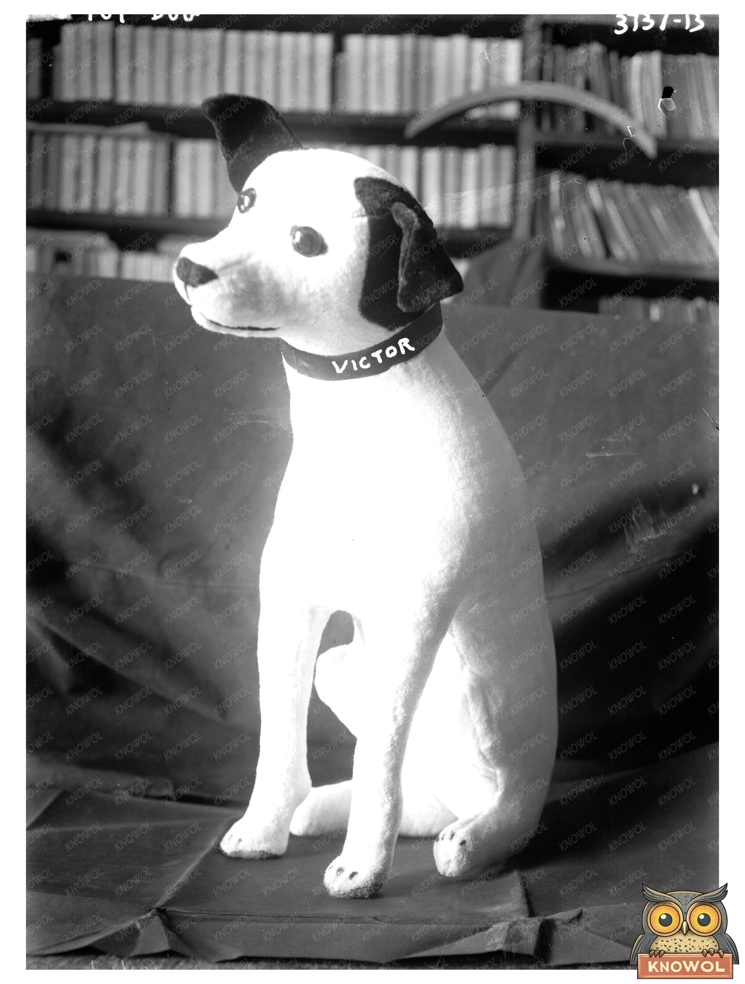 Historic Toy dog [Victor] Print, Vintage Art
