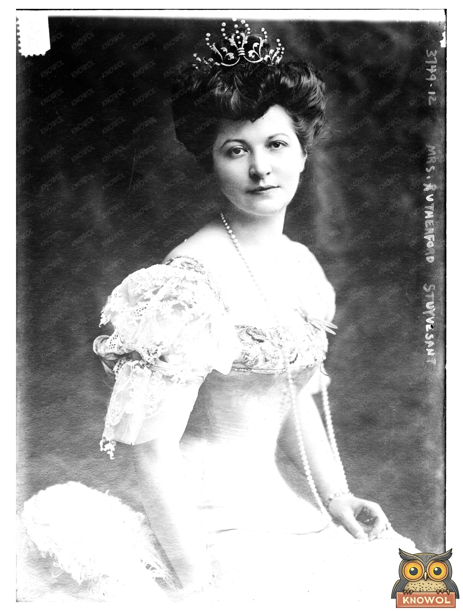 Historic Mrs. Rutherford Stuyvesant Print, Vintage Art