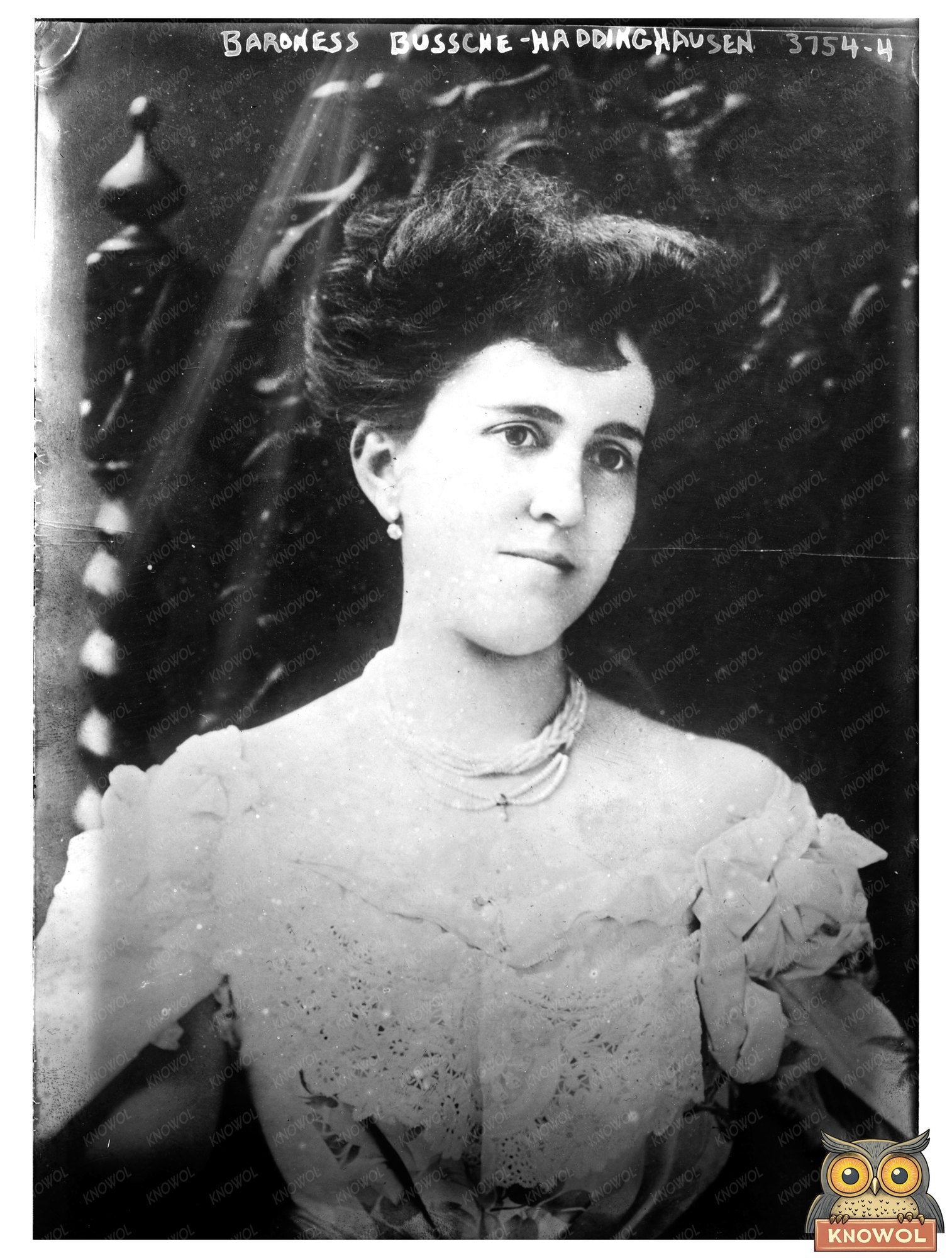 Historic Baroness Bussche - Haddinghausen [i.e. Haddenhausen] Print, Vintage Art