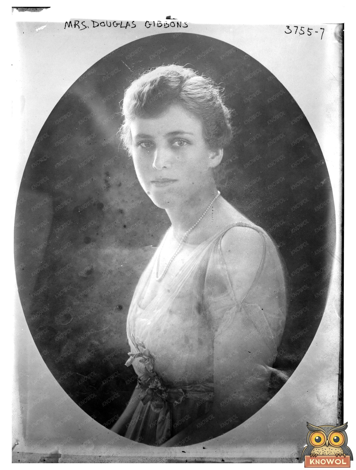 Historic Mrs. Douglas Gibbons Print, Vintage Art
