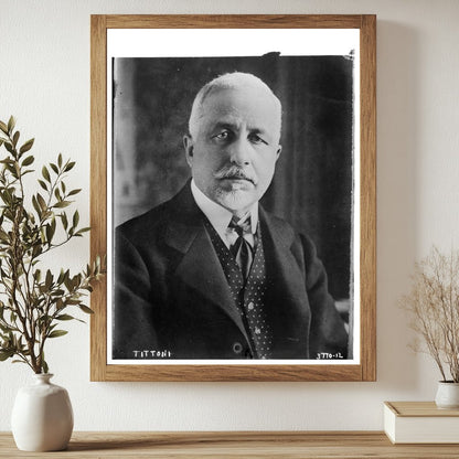 Historic Tittoni Print, Vintage Art