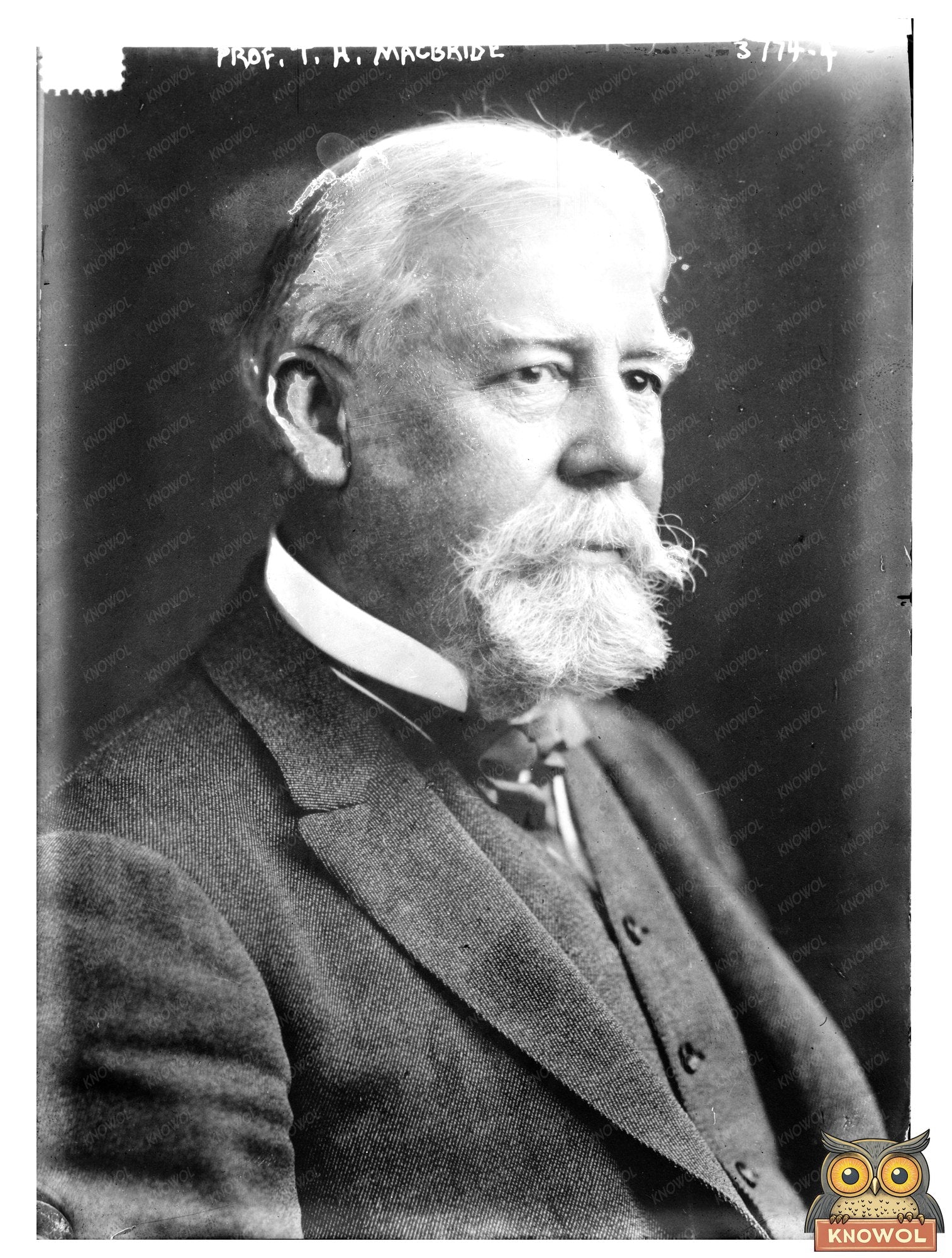 Historic Prof. T.H. Macbride Print, Vintage Art