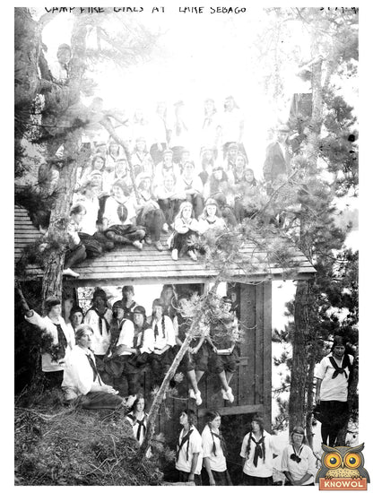 Historic Camp Fire girls at Lake Sebago Print, Vintage Art