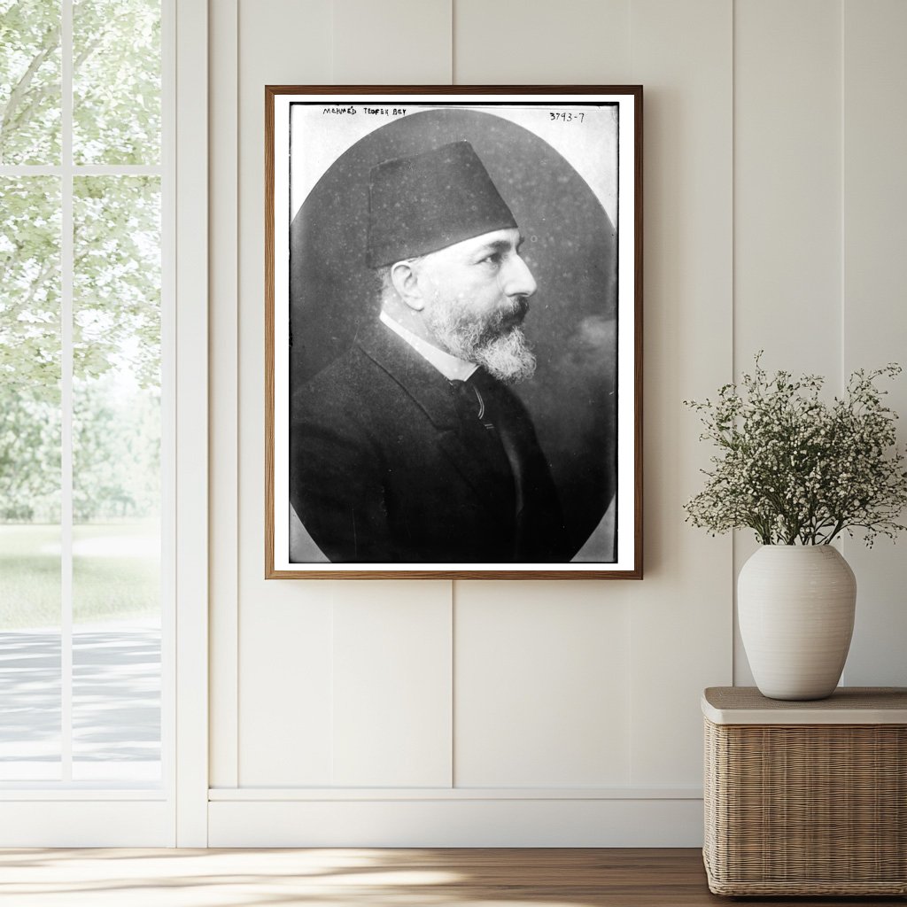 Historic Mehmed Teofek Bey Print, Vintage Art