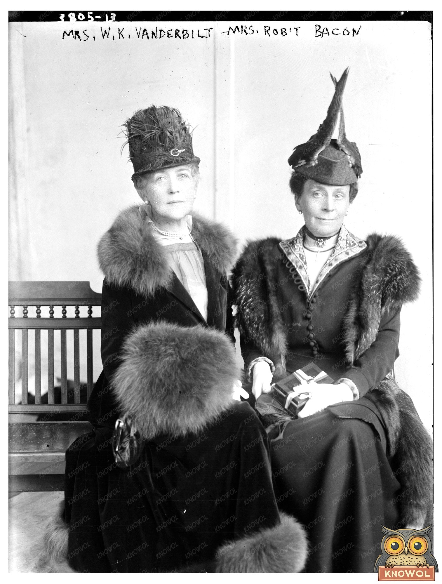 Historic Mrs. W.K. Vanderbilt & Mrs. Rob't Bacon Print, Vintage Art