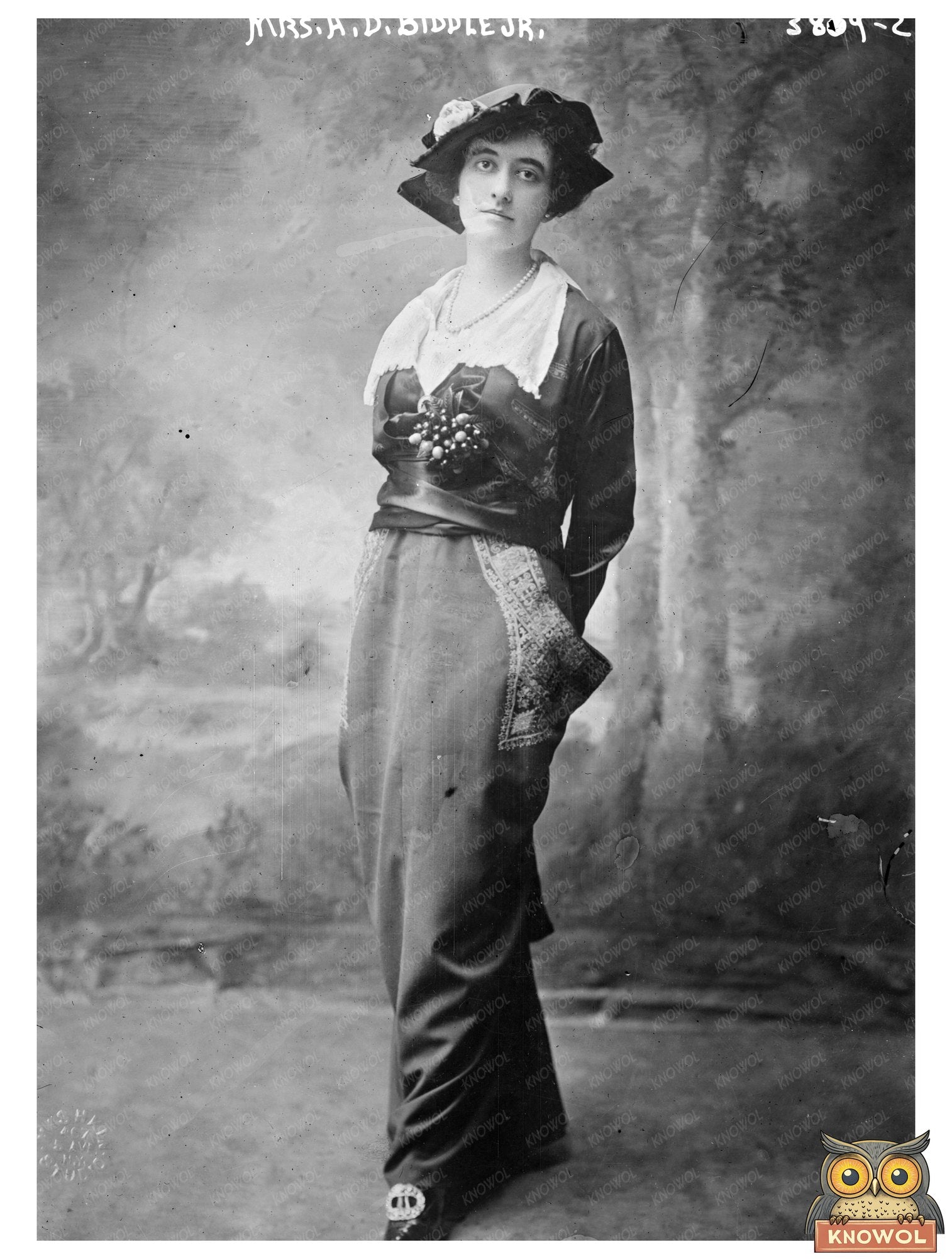 Historic Mrs. A.D. Biddle Jr. Print, Vintage Art