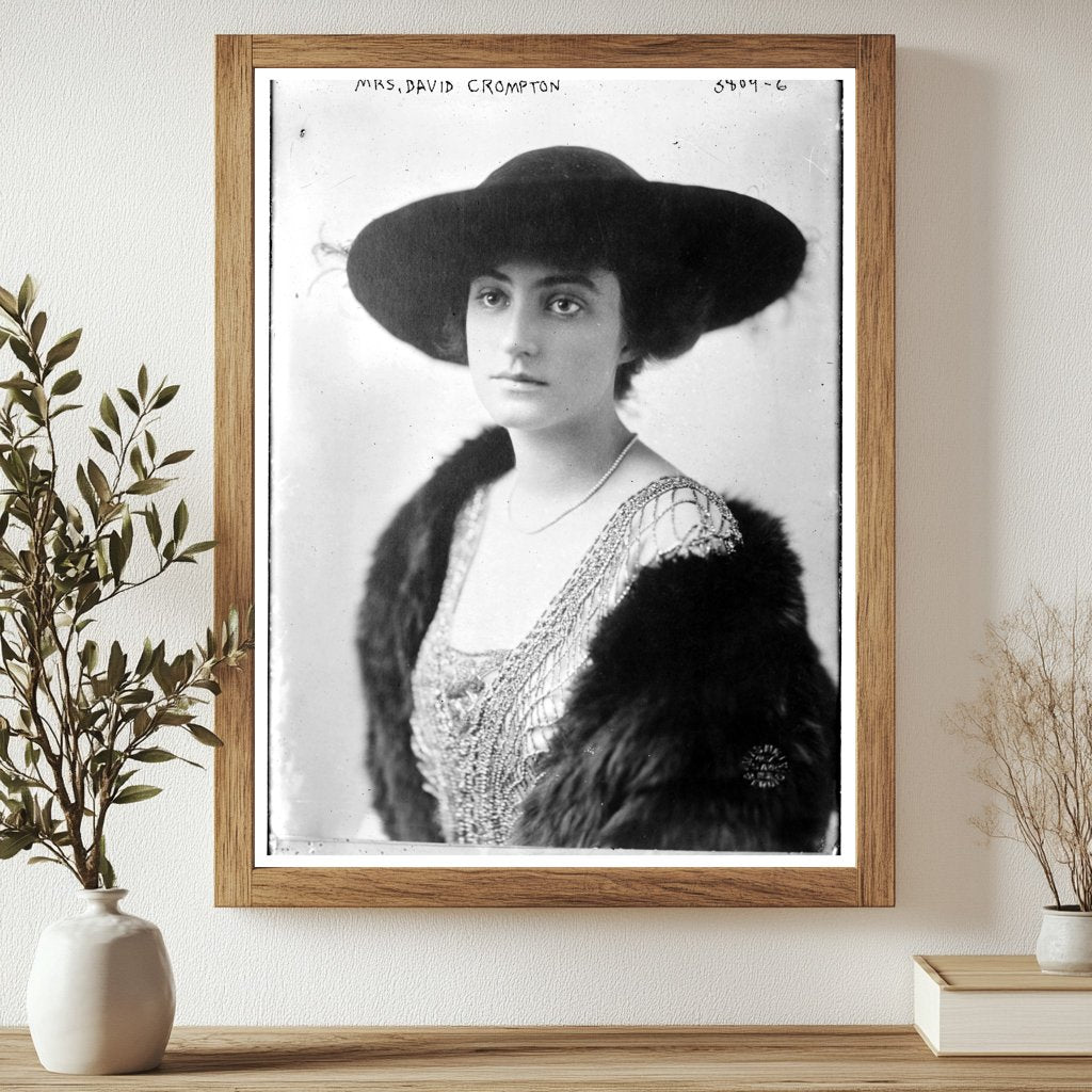 Historic Mrs. David Crompton Print, Vintage Art
