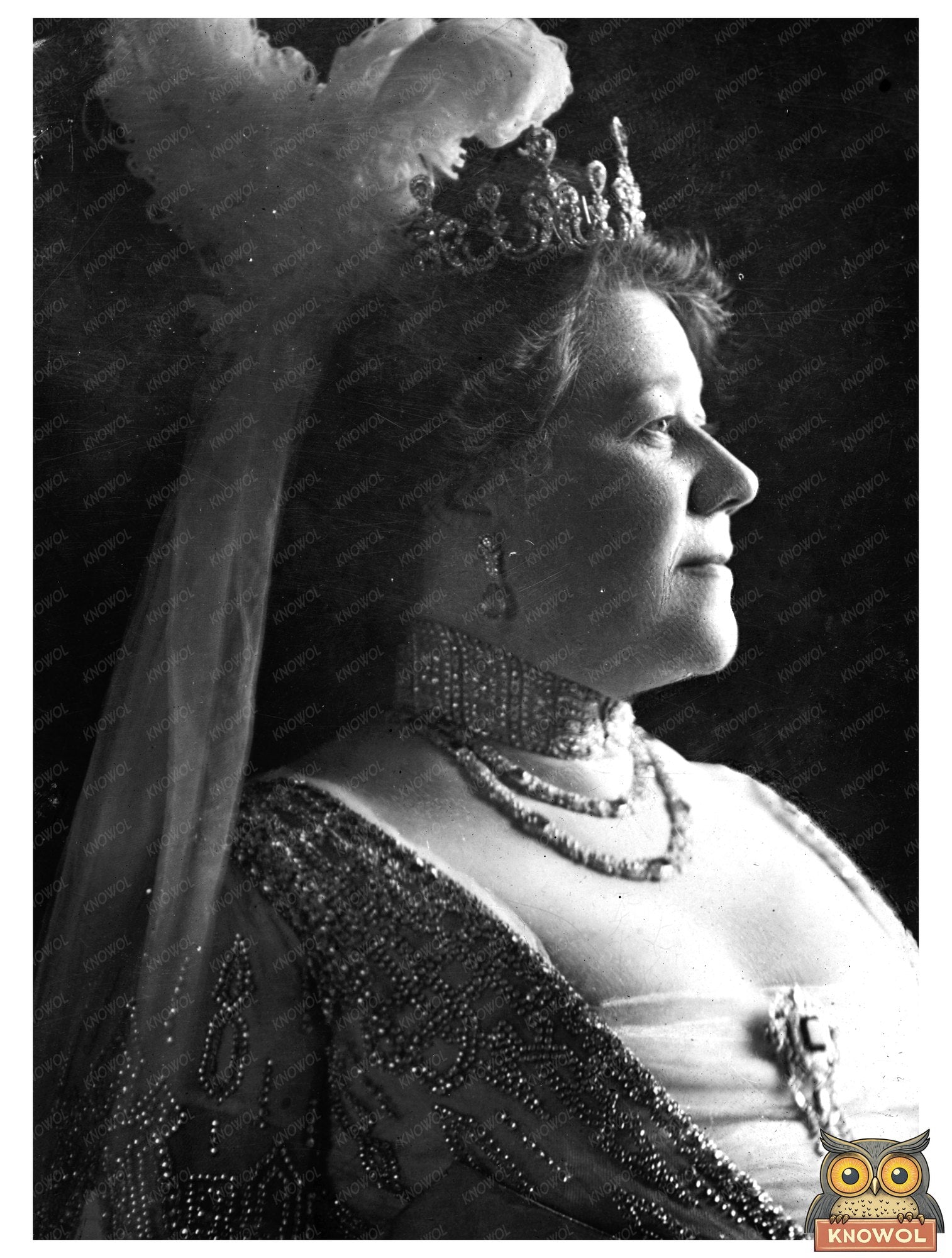Historic Mrs. John Hays Hammond Print, Vintage Art