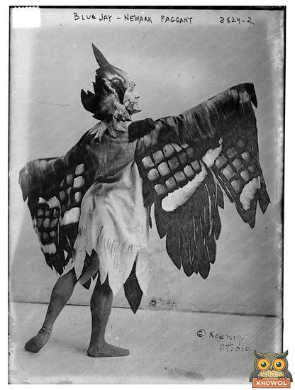 Historic Blue Jay - Newark Pageant Print, Vintage Art