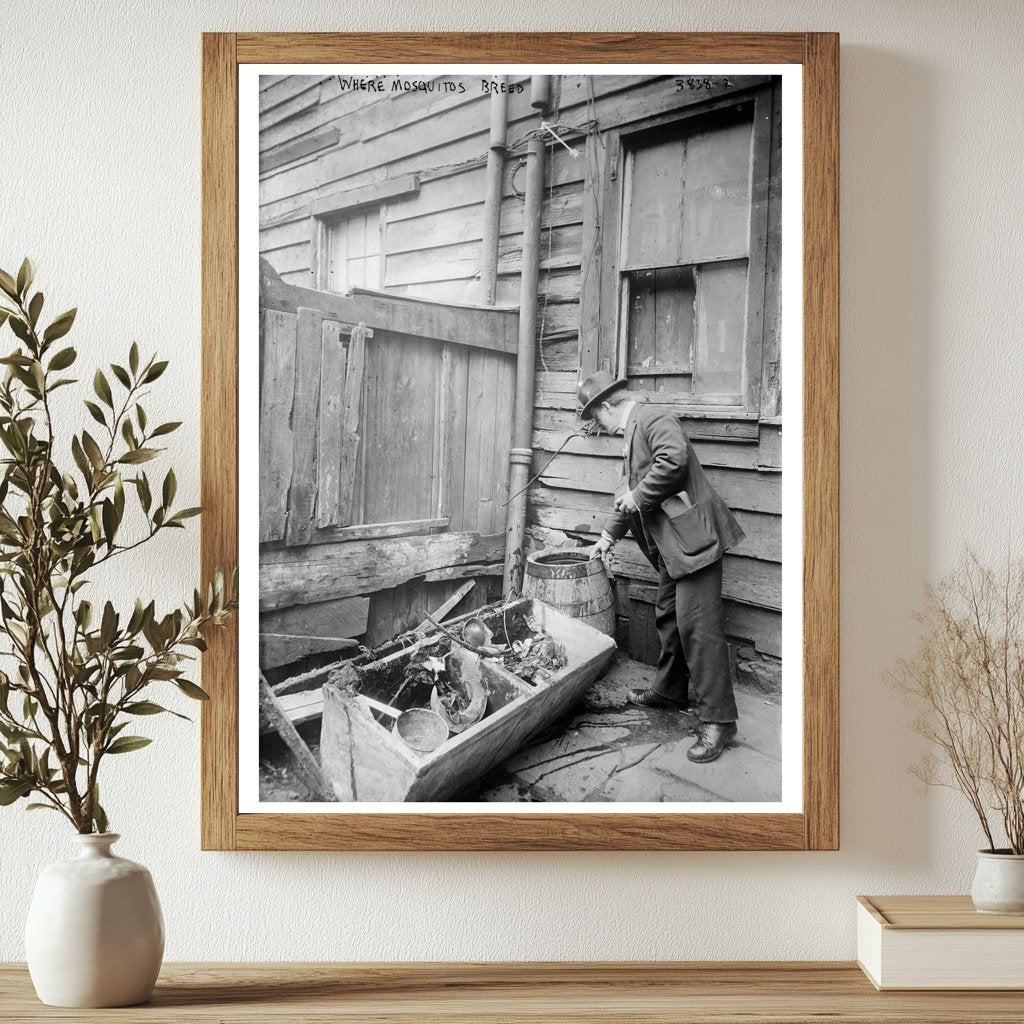 Historic Where Mosquitos Breed Print, Vintage Art