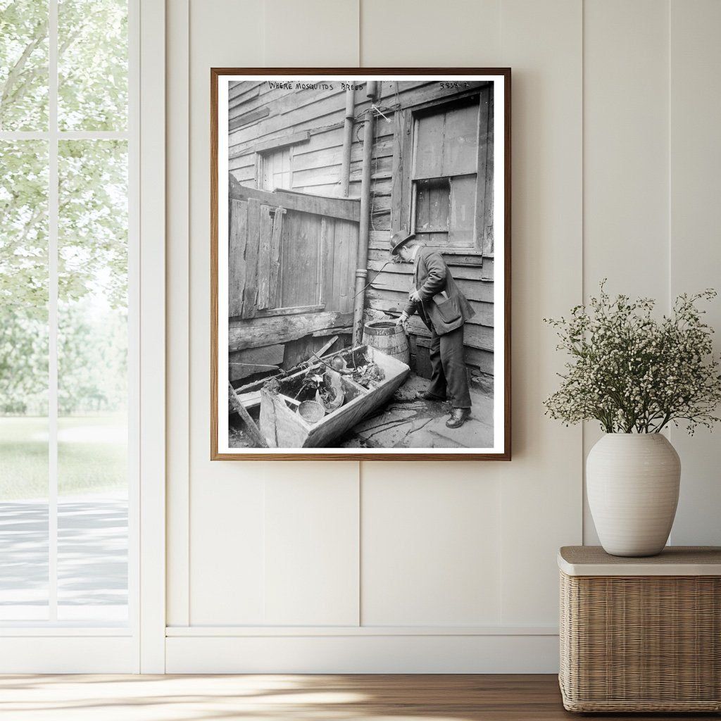 Historic Where Mosquitos Breed Print, Vintage Art