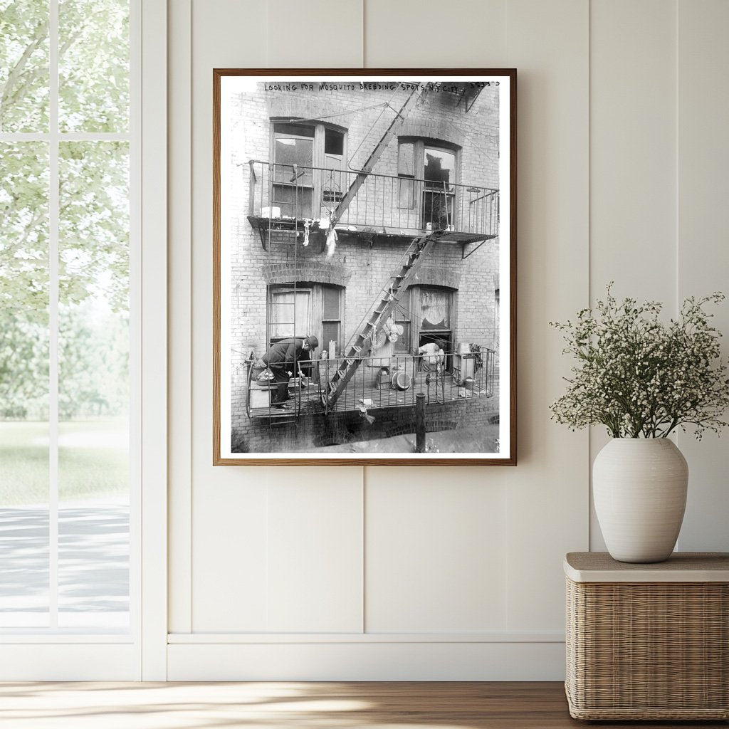 Historic Looking for mosquitos' breeding spots, N.Y. City Print, Vintage Art