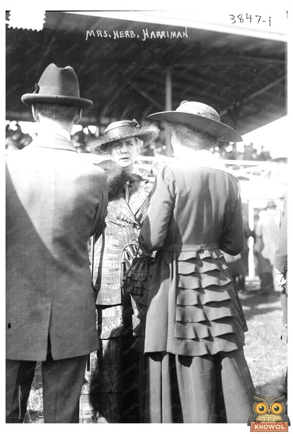 Mrs. Herb Harriman: Vintage 1910s Glass Negative Portrait