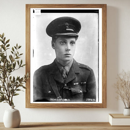 Historic Prince of Wales Print, Vintage Art