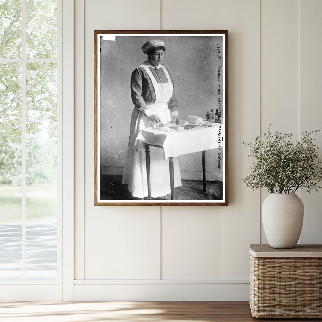 Historic Duchess Marie Antoinette of Mecklenburg Schwerin Print, Vintage Art