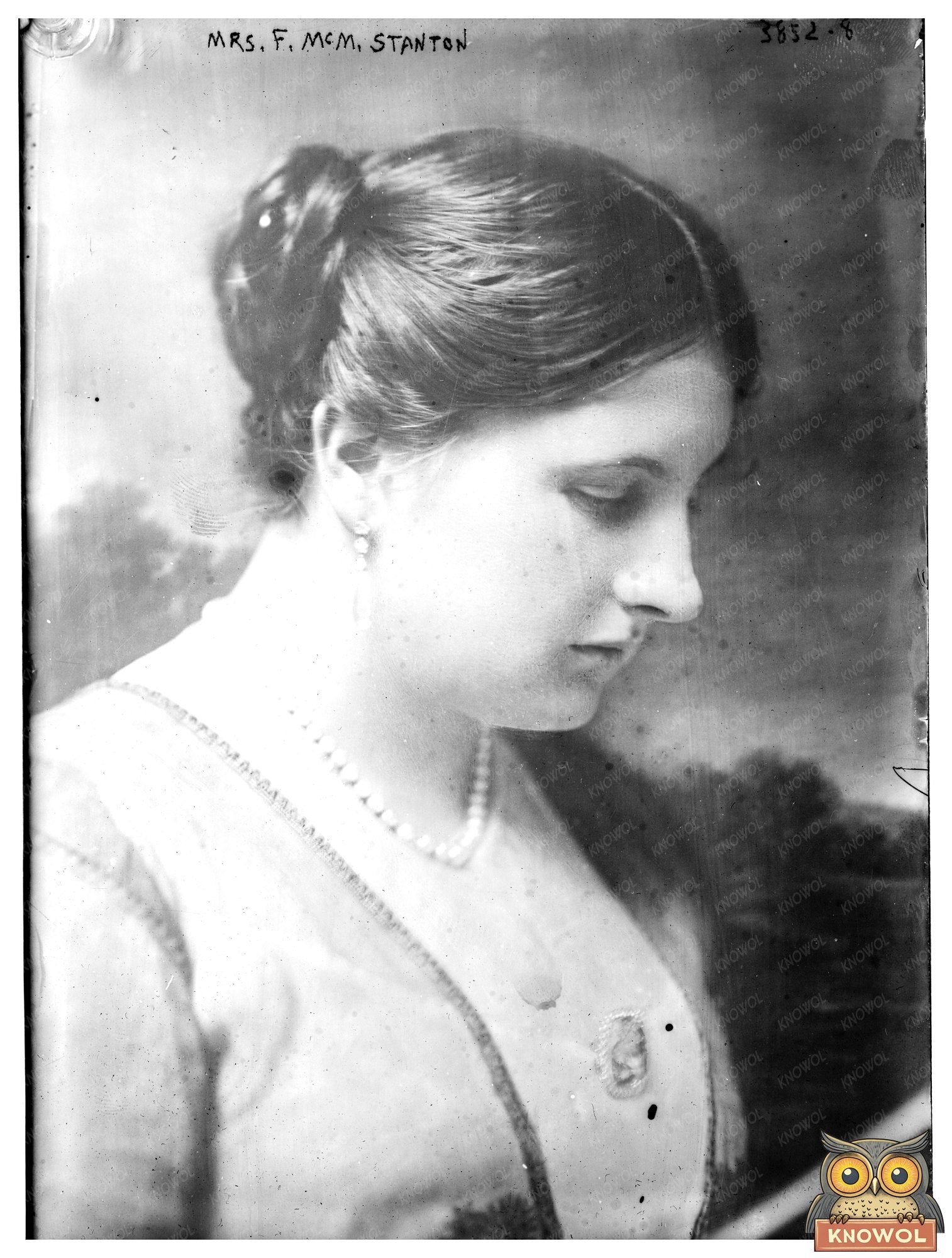 Historic Mrs. F. McM. Stanton Print, Vintage Art