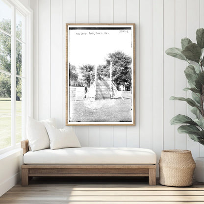 Heroic Red Cross Dog on Governor’s Island, 1916