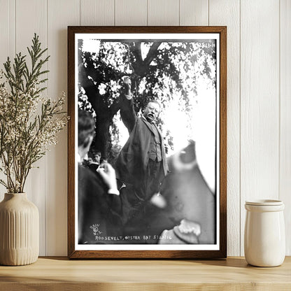 Roosevelts Reflective Moment at Oyster Bay, 1916