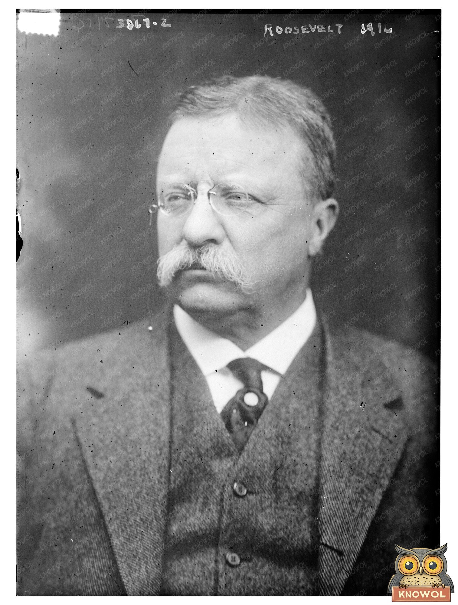Historic Roosevelt [i.e., Theodore Roosevelt] Print, Vintage Art