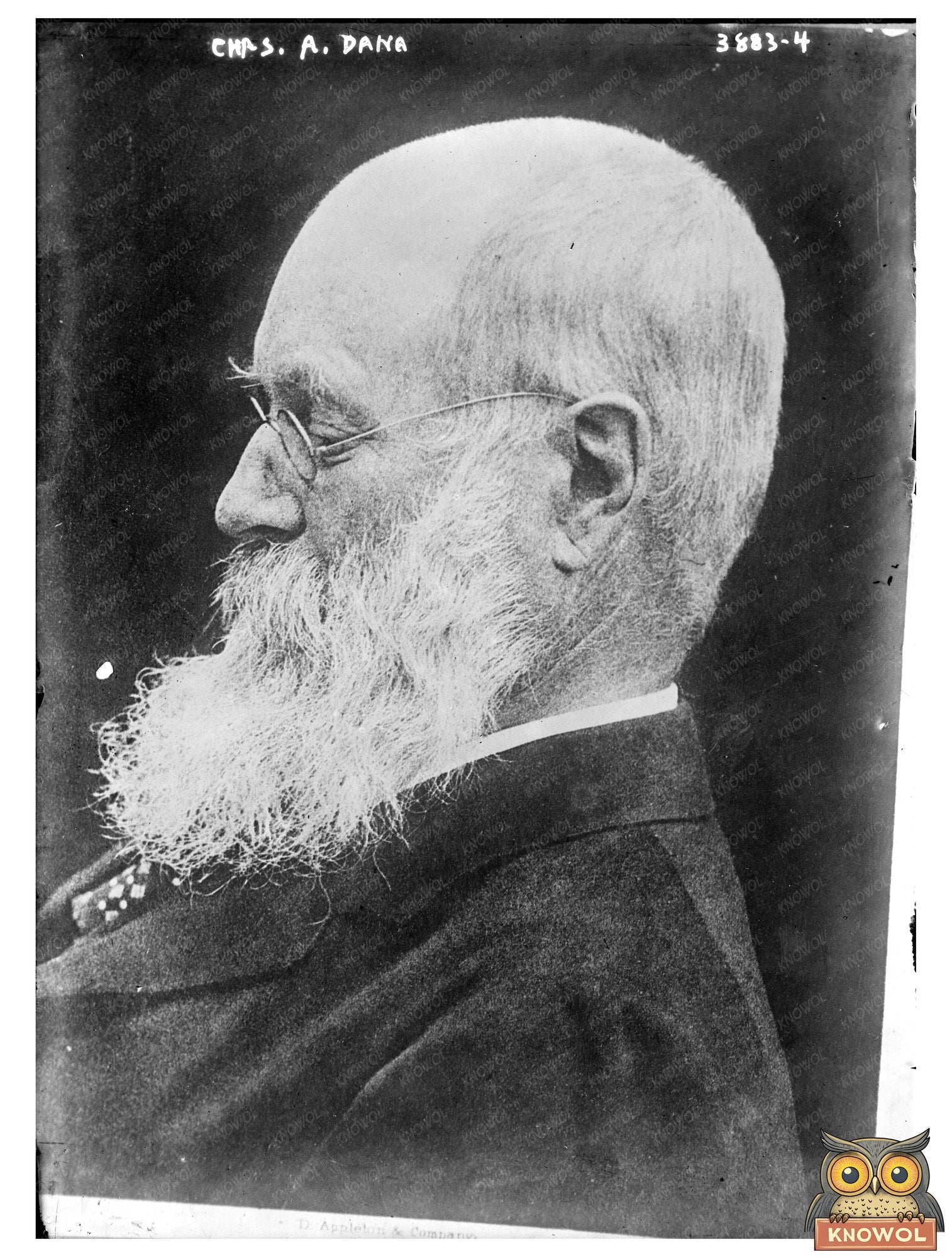 Historic Chas. A. Dana Print, Vintage Art