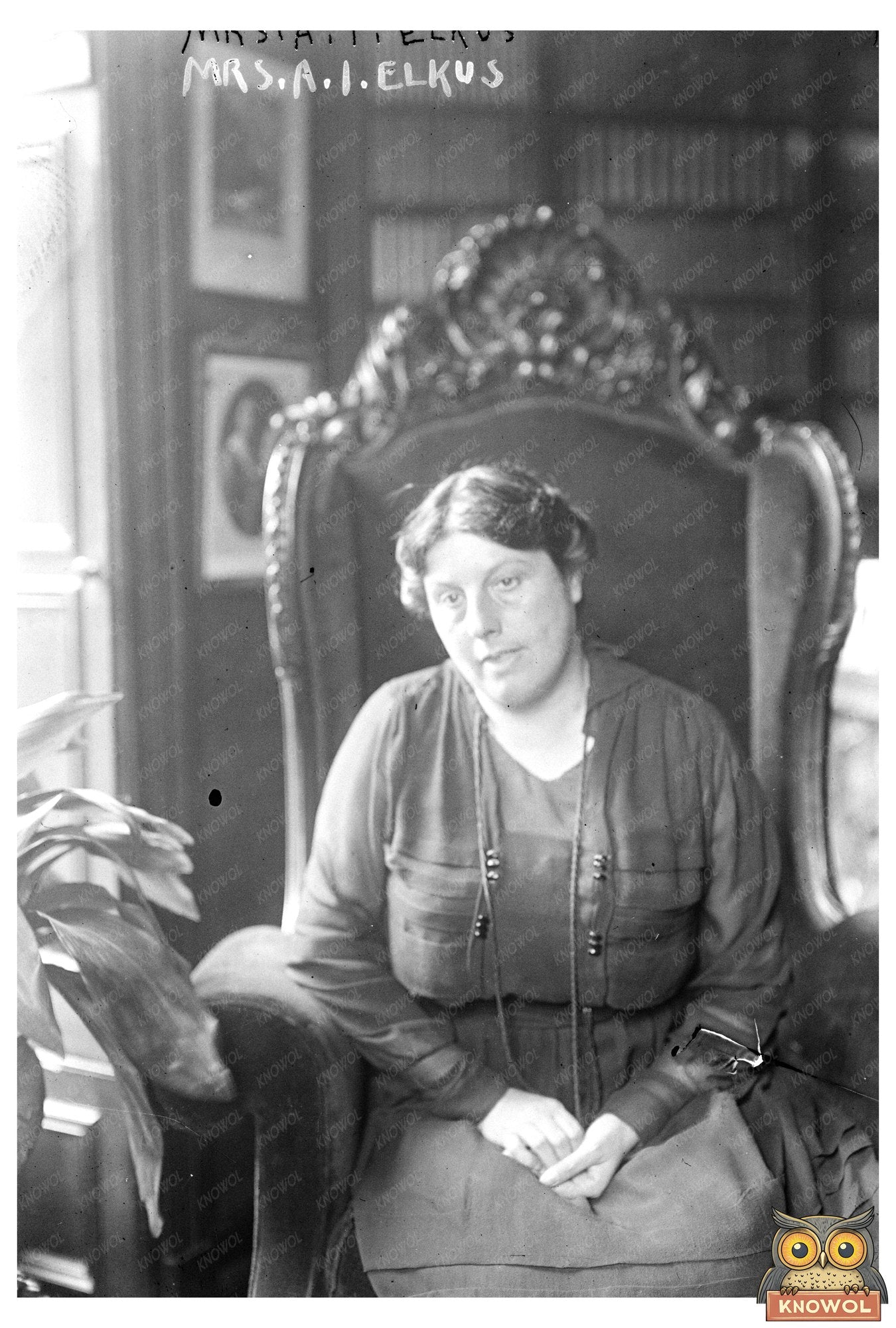 Elegant Mrs. A.I. Elkus: A 1915-1920 Portrait