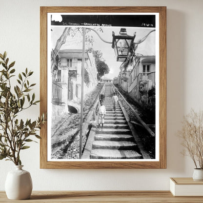 Historic St. Thomas -- Charlotte Amalie Print, Vintage Art
