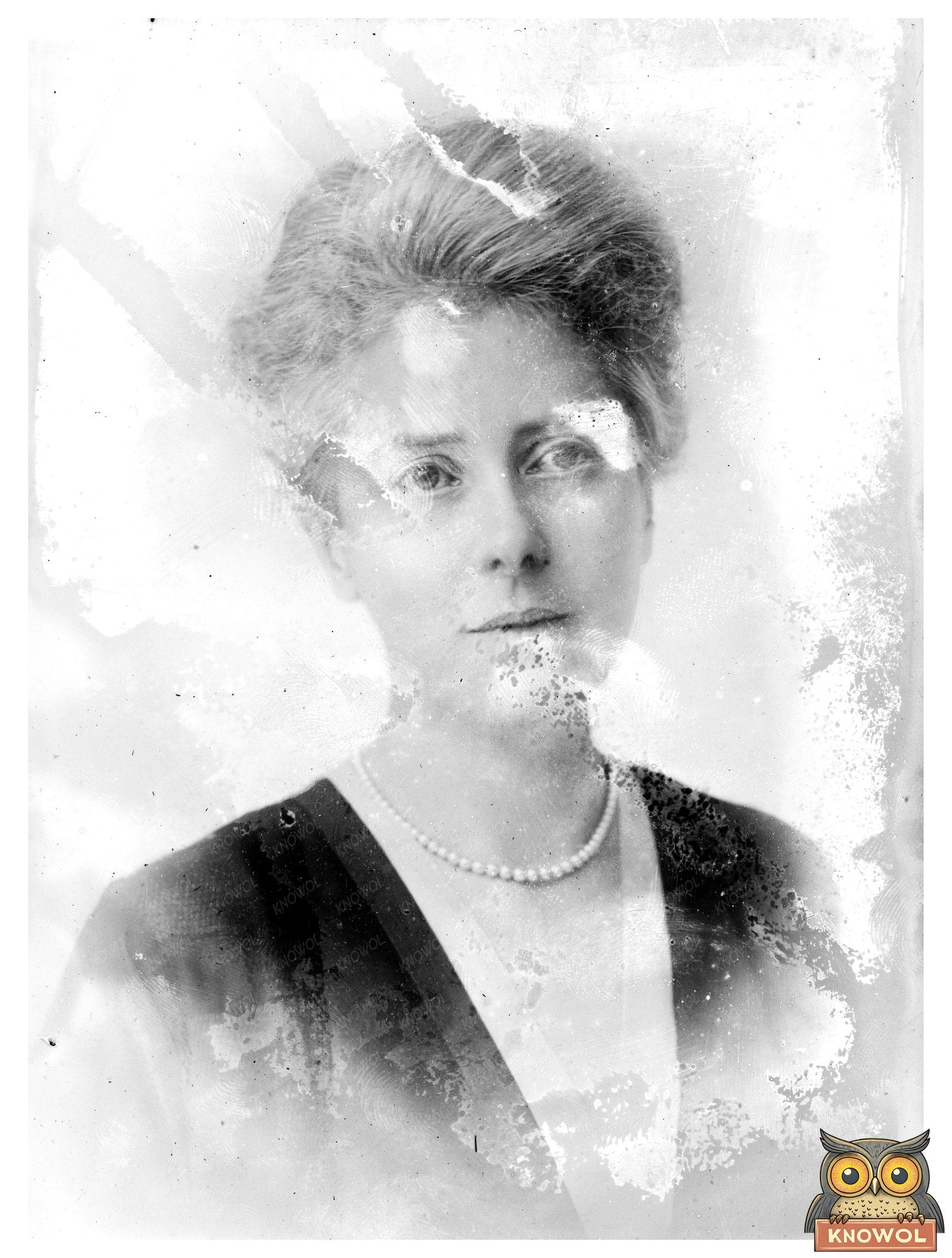 Historic Mrs. W.H. Carnegie Print, Vintage Art
