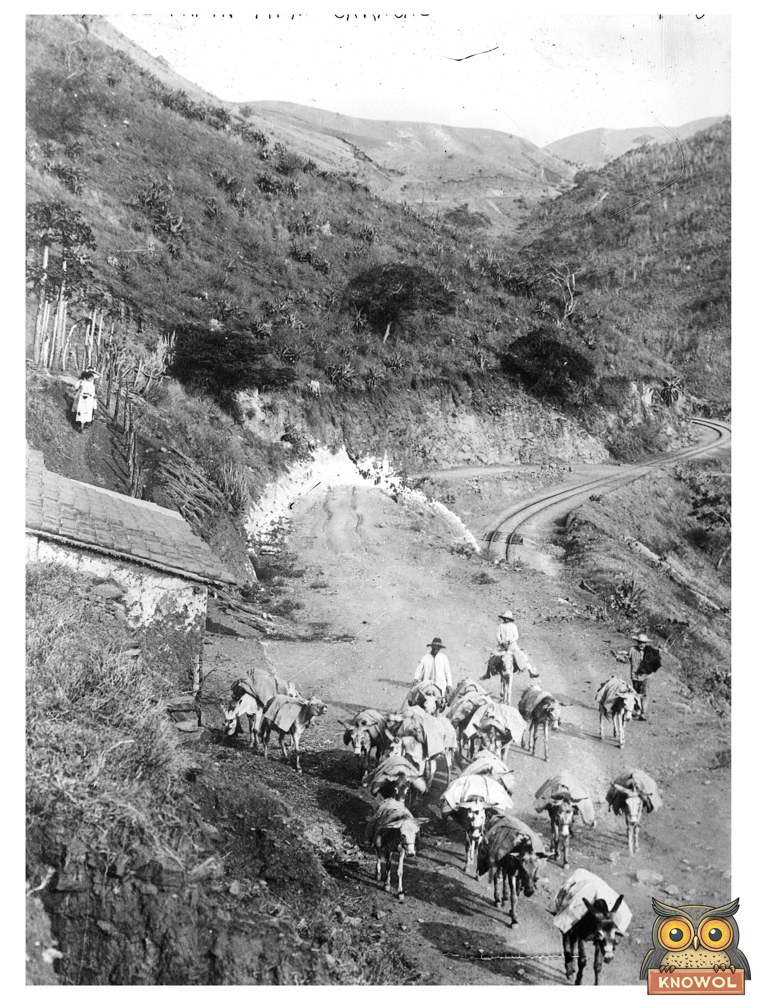Historic Mule train from Caracas Print, Vintage Art