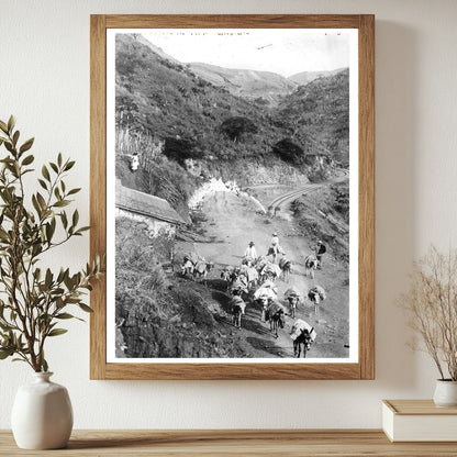 Historic Mule train from Caracas Print, Vintage Art