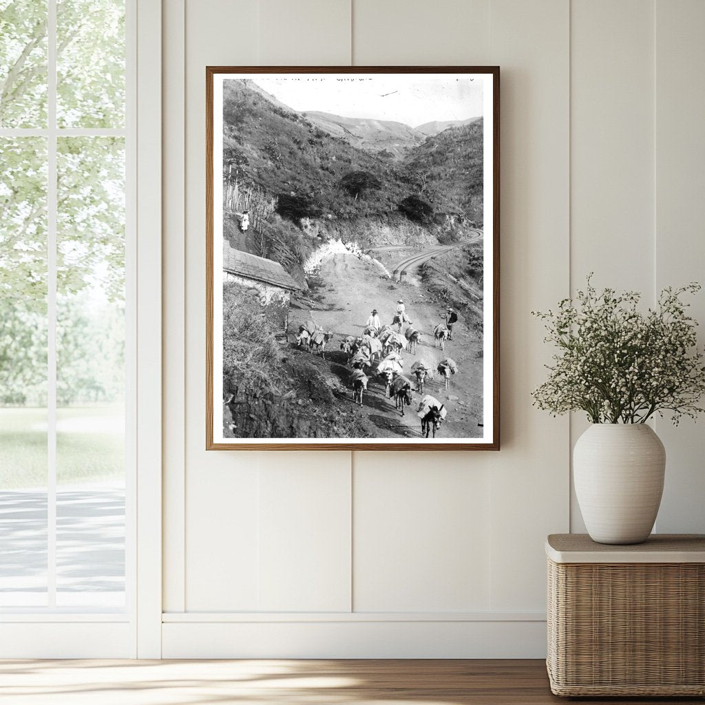 Historic Mule train from Caracas Print, Vintage Art