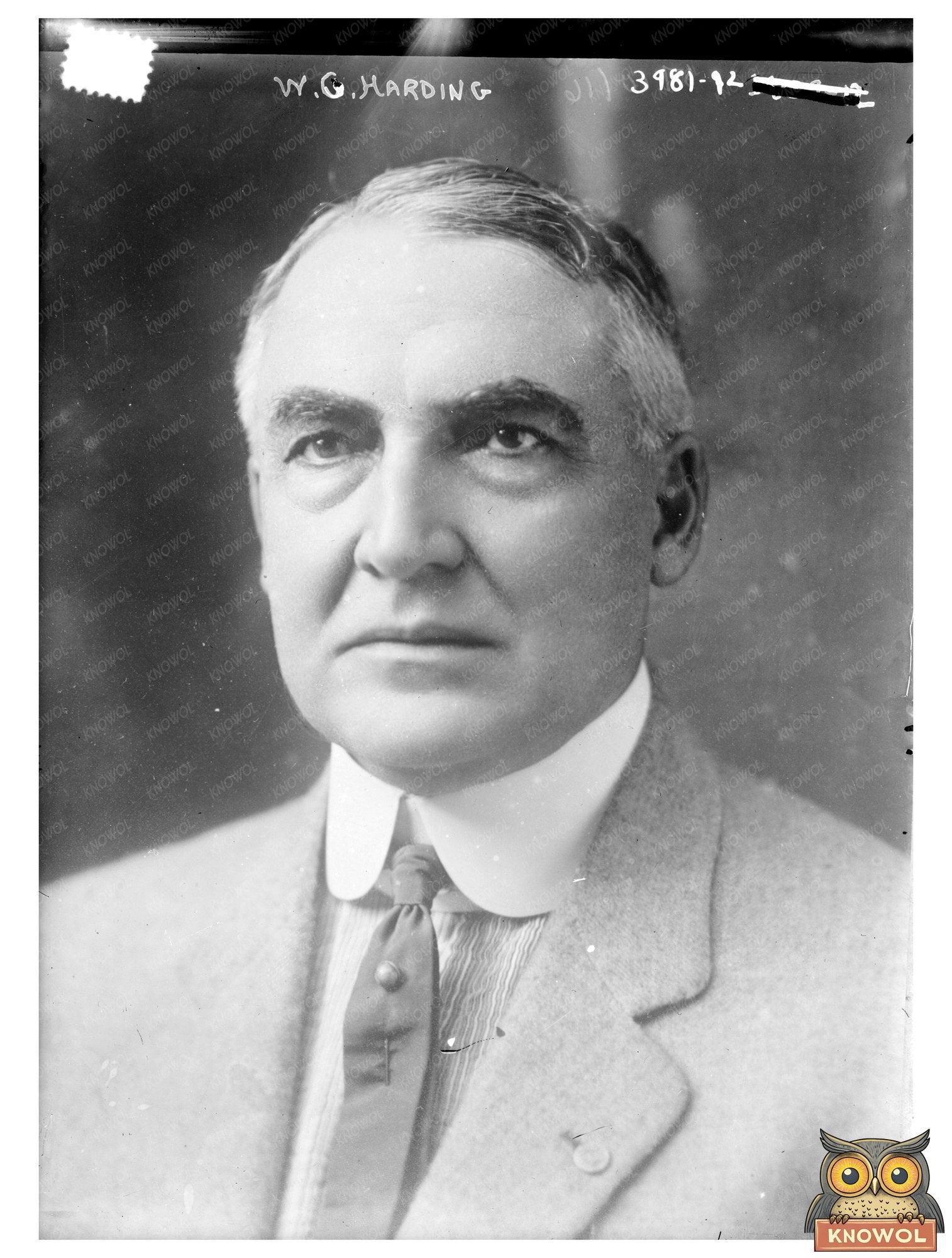 Historic W.G. Harding Print, Vintage Art