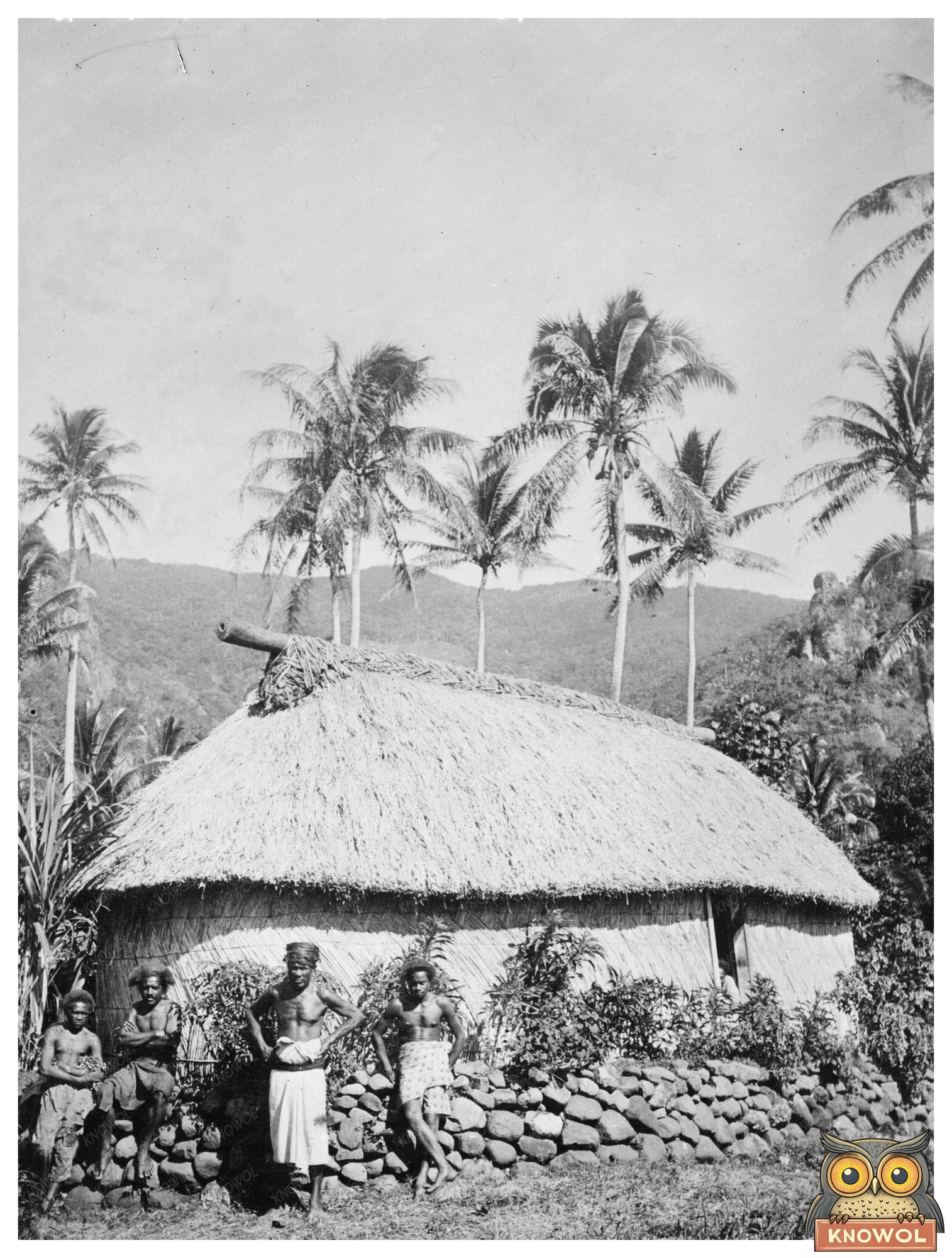 Historic A Tonga Home -- Fiji Print, Vintage Art