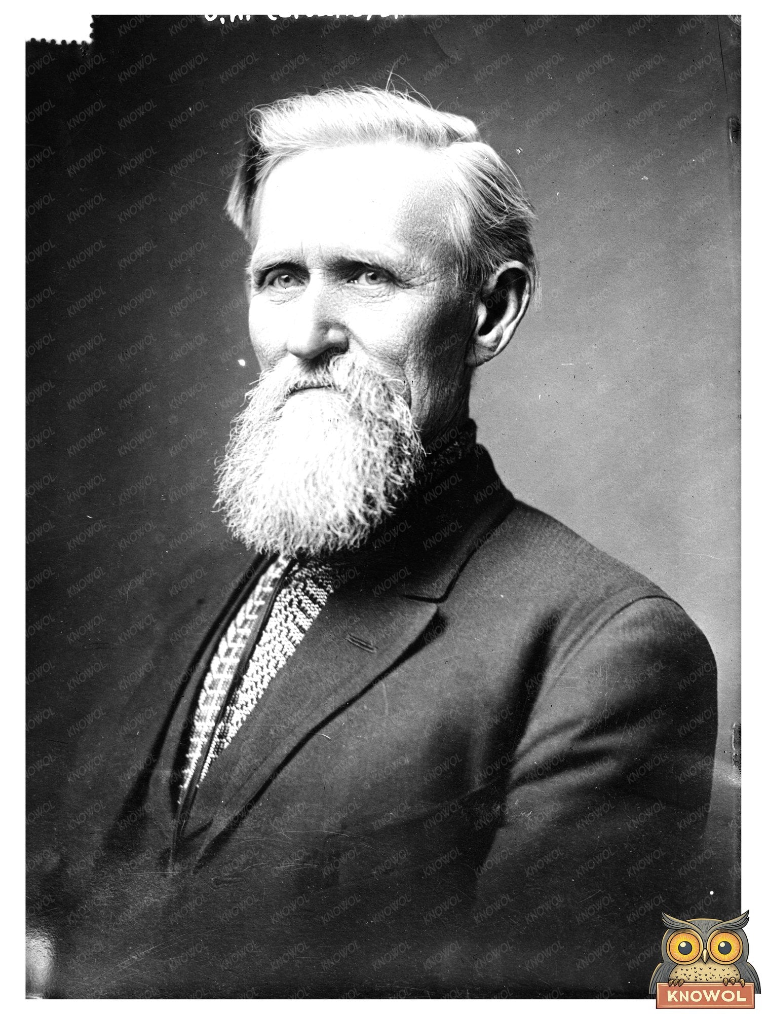 Historic J.N. (Cyclone) Davis Print, Vintage Art