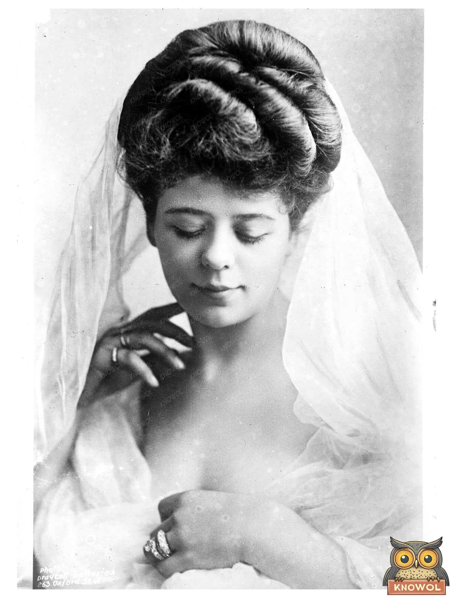 Historic Camille Clifford (Mrs. H.L. Bruce) (Mrs. J.M.J. Evans) Print, Vintage Art